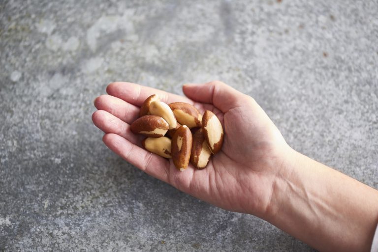 Brazil nuts - Nuts for Life | Australian Nuts for Nutrition & Health