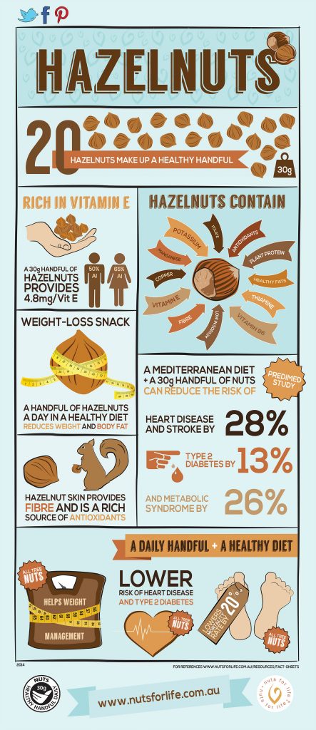 Nut infographics