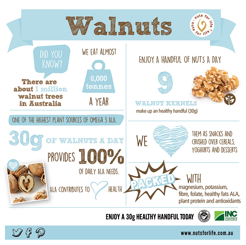 Nut infographics Nuts for Life Australian Tree Nuts for Nutrition