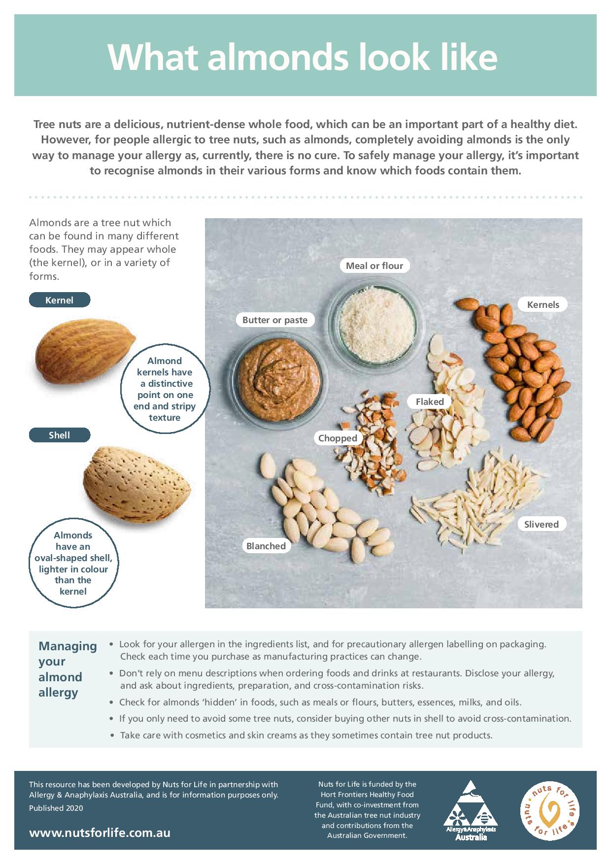 Managing your allergy fact sheets Nuts for Life Australian Nuts for