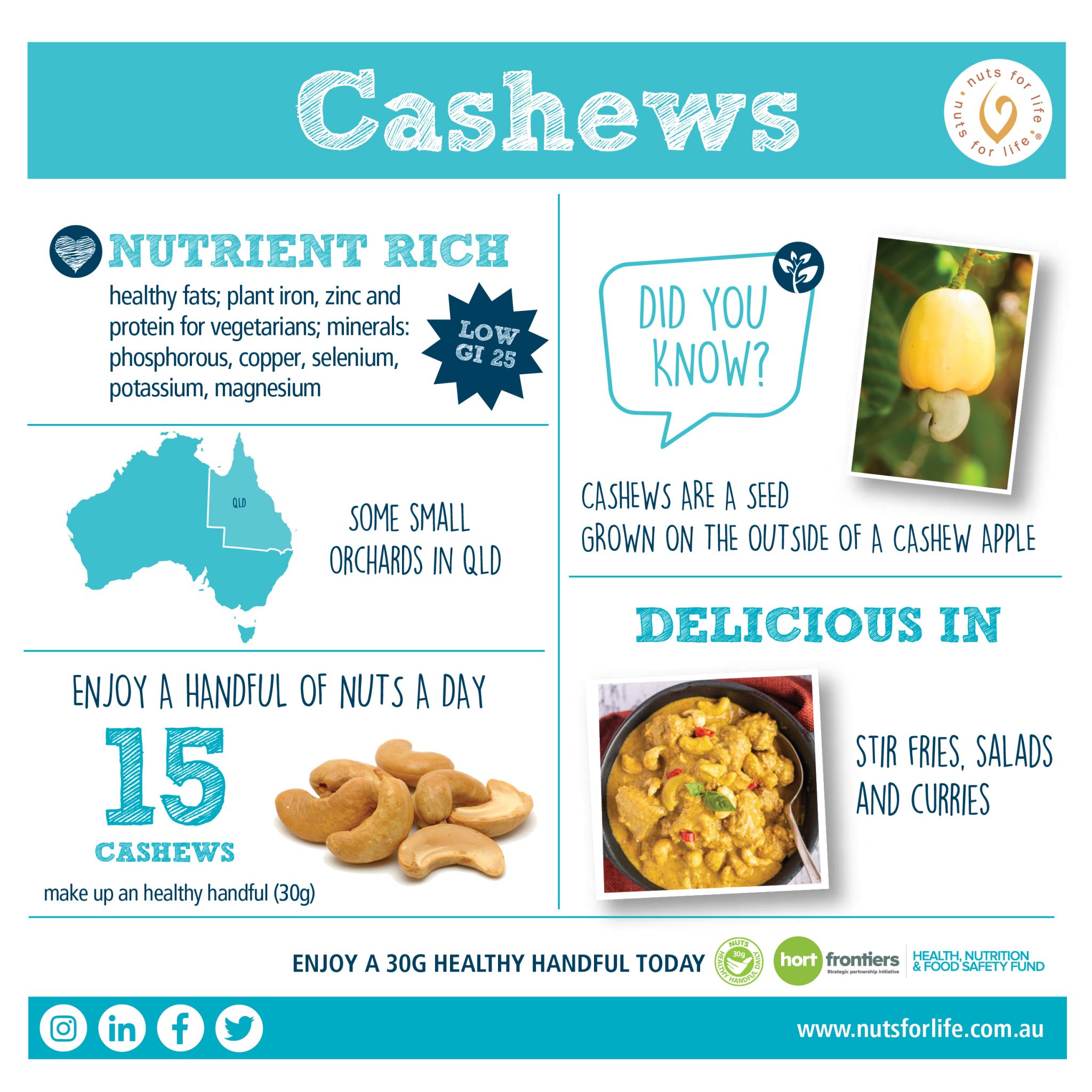 Nut infographics Nuts for Life Australian Nuts for Nutrition & Health
