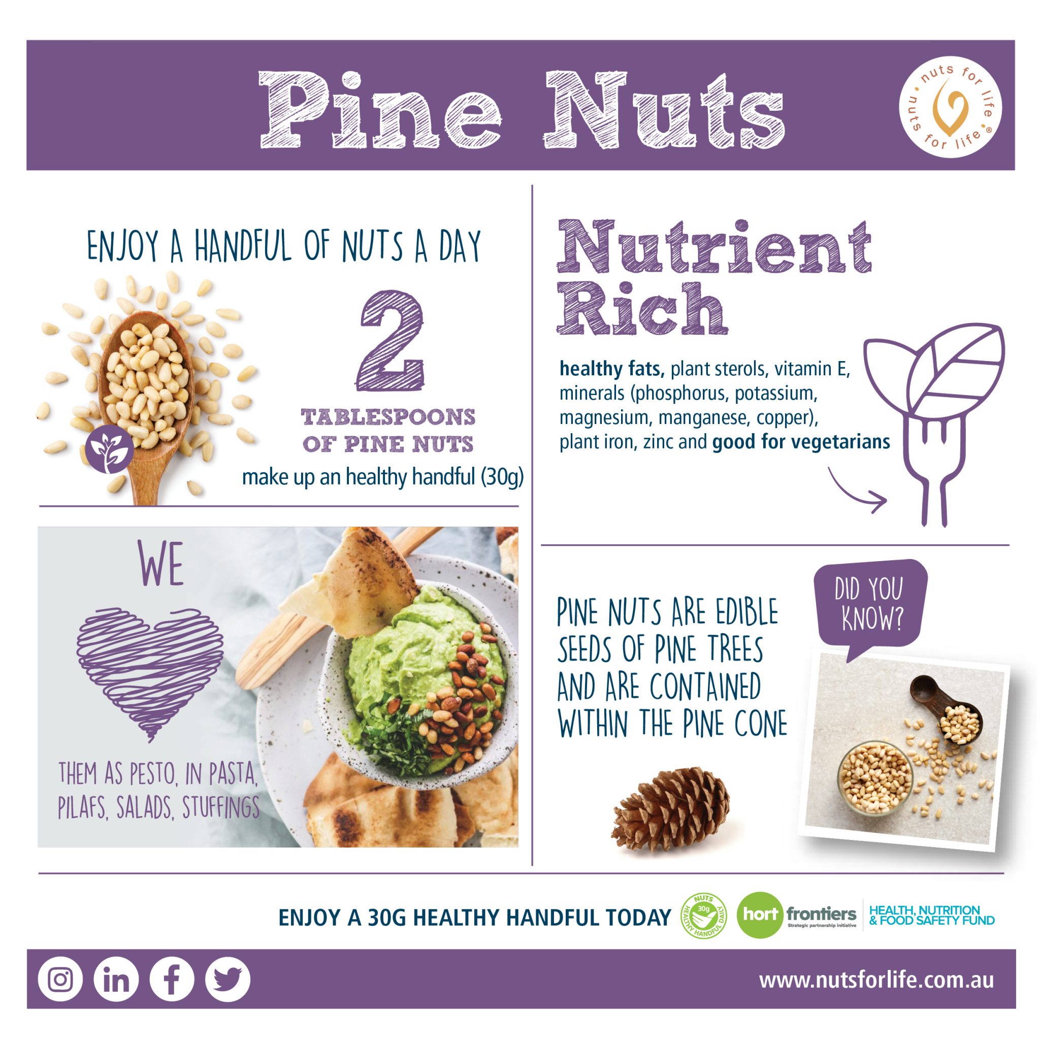 Nut infographics